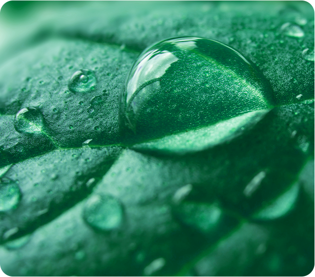 자연의 물방울 이미지