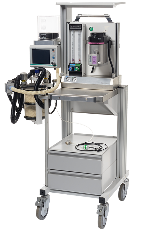 ROYAL MEDICAL MULTIPLUS